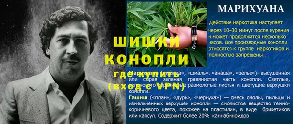 дмт Дмитровск