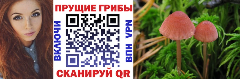 Псилоцибиновые грибы мухоморы  Купить  Кропоткин 